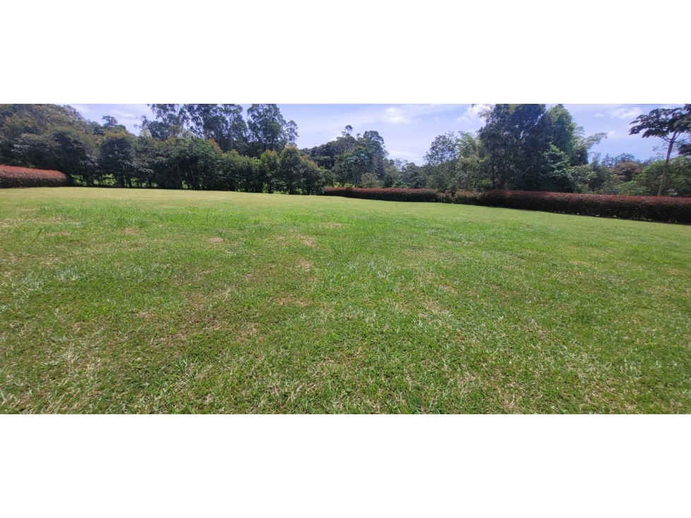 VENTA LOTE EN LLANOGRANDE CERCA AL CLUB CAMPESTRE — foto 5