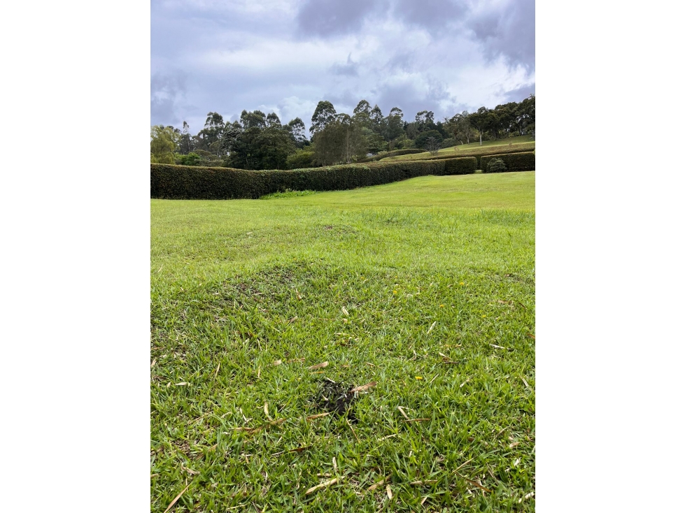 VENTA LOTE EN LLANOGRANDE CERCA AL CLUB CAMPESTRE — foto 2
