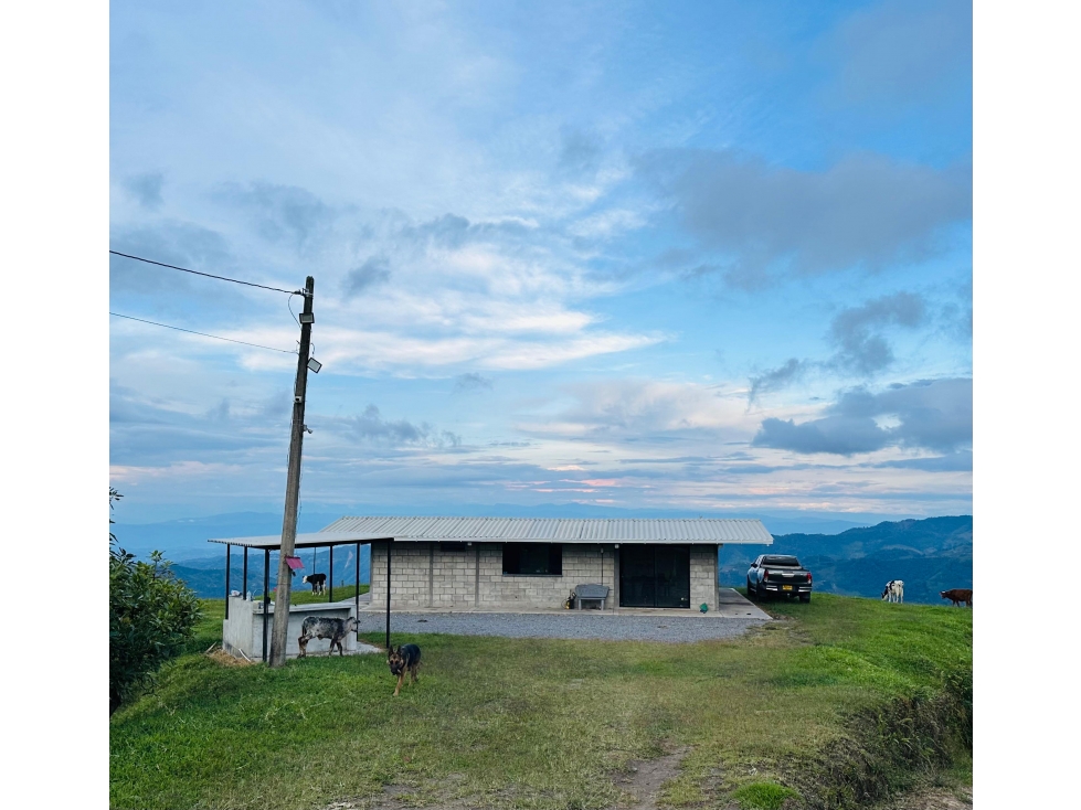 FINCA PRODUCTIVA EN VENTA TOLIMA