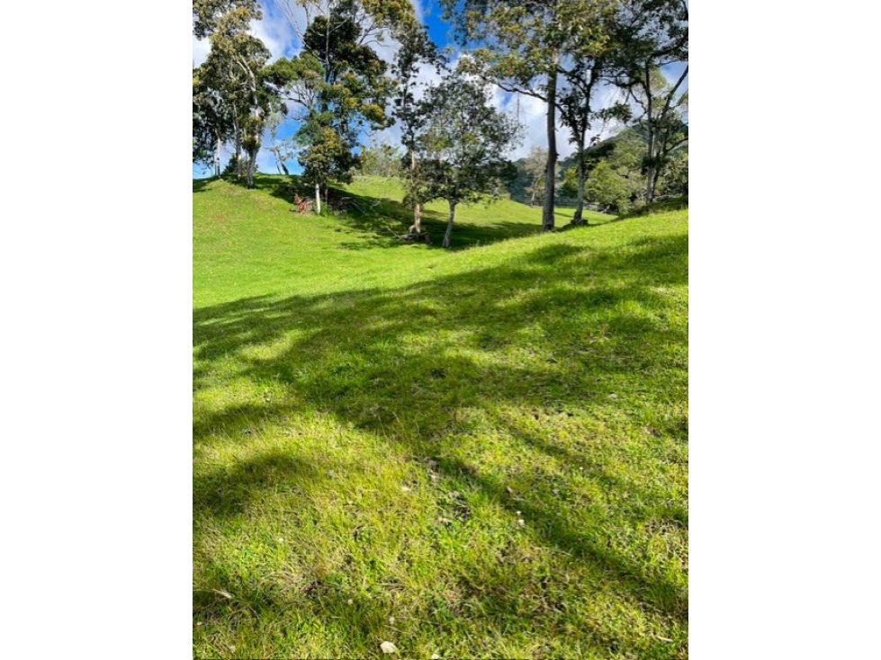 LOTE EN VENTA RIONEGRO VEREDA EL CERRO — foto 3