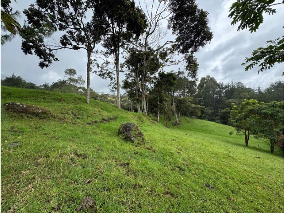 LOTE EN VENTA RIONEGRO VEREDA EL CERRO — foto 4