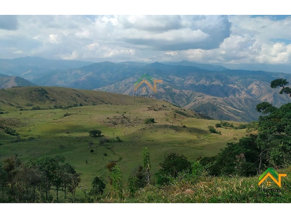 Vendo Finca productiva de 550 cuadras en venta Betulia, Antioquia - 1