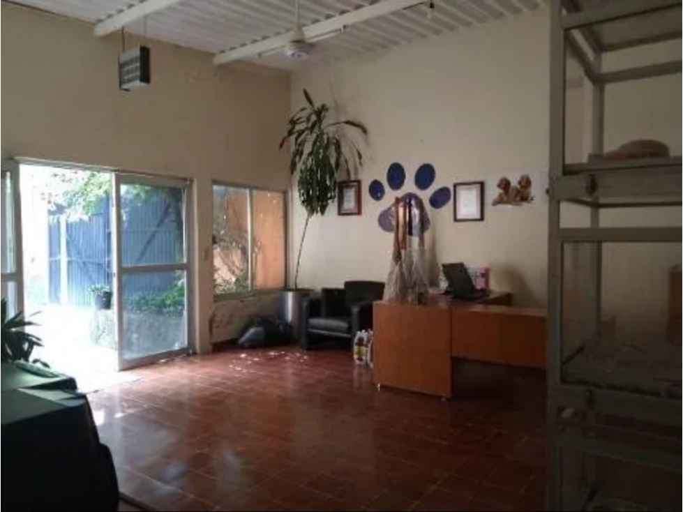 PENSIÓN PARA PERROS EN VENTA EN YAUTEPEC - 3