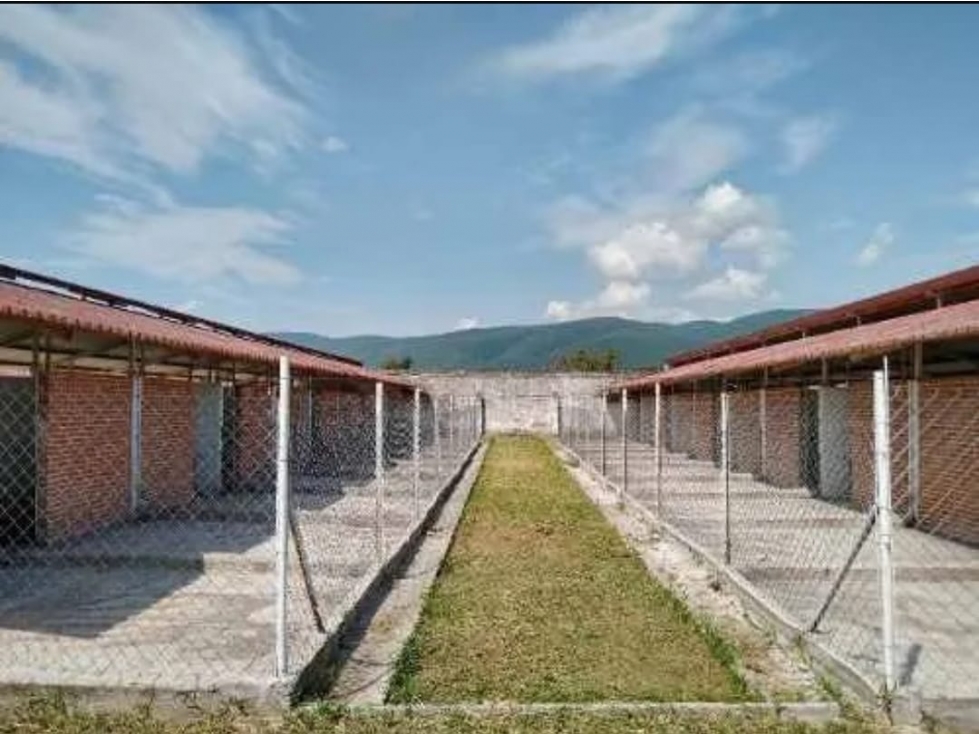 PENSIÓN PARA PERROS EN VENTA EN YAUTEPEC - 2