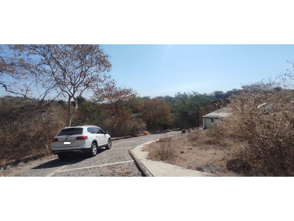 MACROLOTE EN VENTA EN XOCHITEPEC - 3