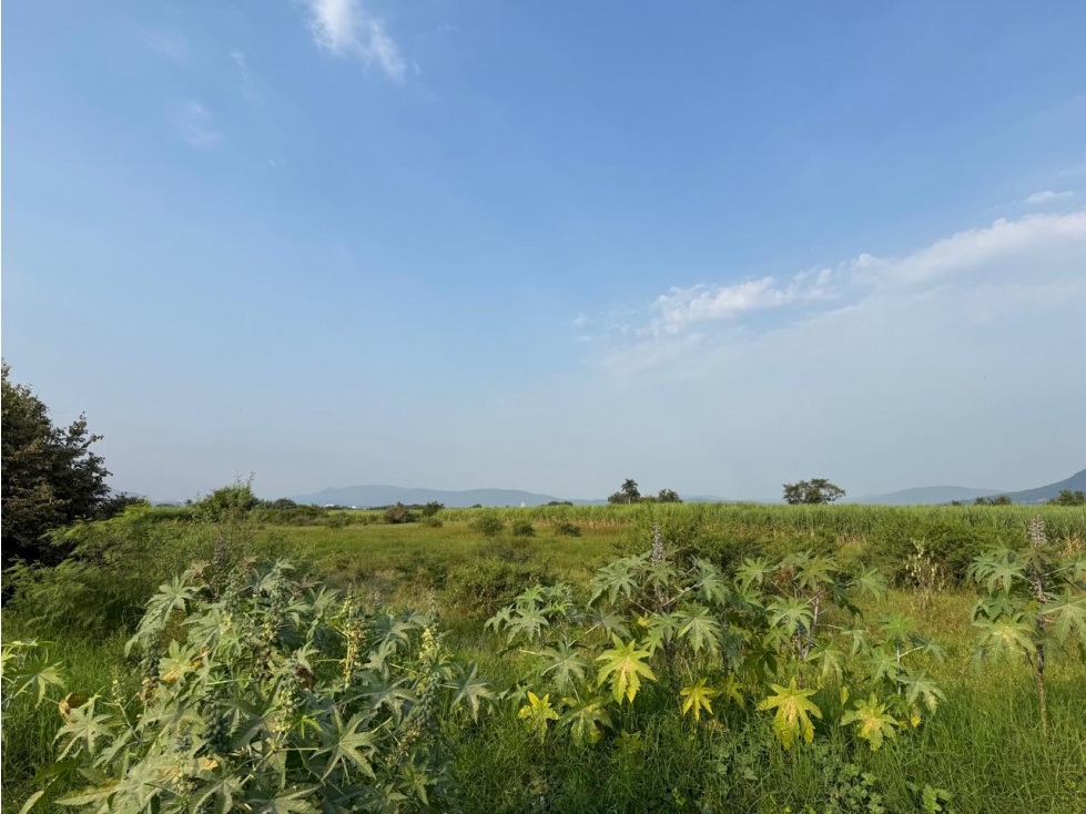 MACROLOTE EN VENTA A BORDO DE CARRETERA JOJUTLA GALEANA - 4