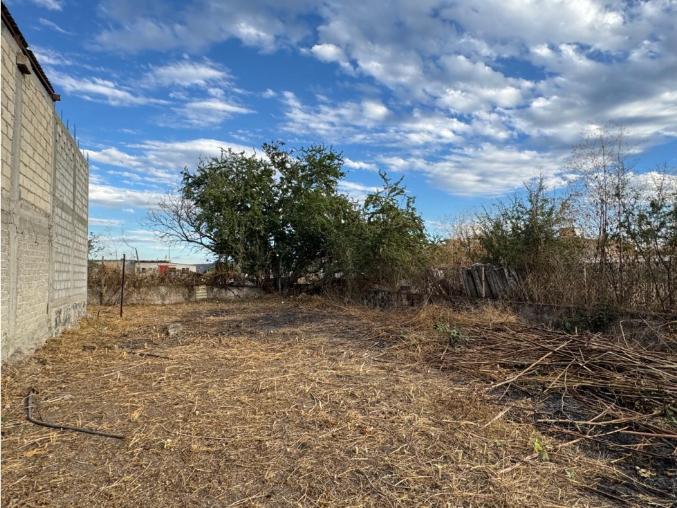 TERRENO EN VENTA A UN COSTADO DE SKYDIVE TEQUES - 2
