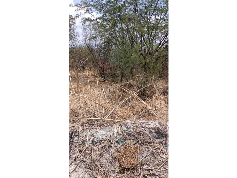2 TERRENOS EN VENTA CON VISTA AL LAGO TEQUES "MANI" - 4