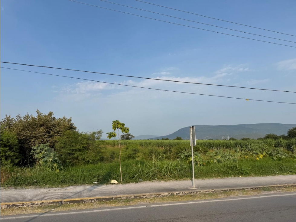 MACROLOTE EN VENTA A BORDO DE CARRETERA JOJUTLA GALEANA - 5