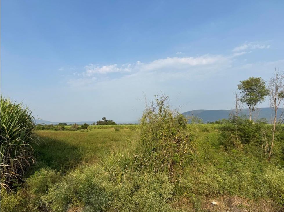 MACROLOTE EN VENTA A BORDO DE CARRETERA JOJUTLA GALEANA - 6
