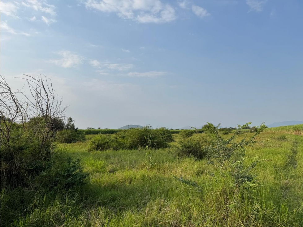 MACROLOTE EN VENTA A BORDO DE CARRETERA JOJUTLA GALEANA - 2