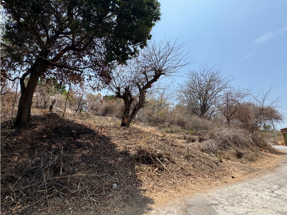 TERRENO EN VENTA CON VISTA AL LAGO TEQUES "D. RODEO" - 2