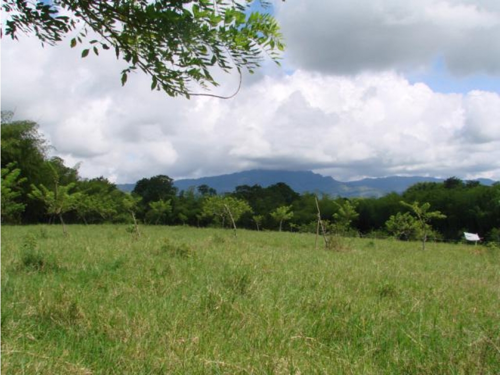 Vendo lindo lote en Montenegro, Quindio cerca al Parque del Café - 2