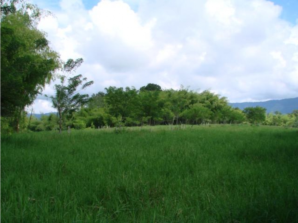 Vendo lindo lote en Montenegro, Quindio cerca al Parque del Café - 4