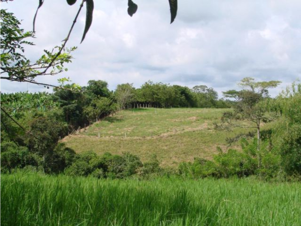 Vendo lindo lote en Montenegro, Quindio cerca al Parque del Café - 5
