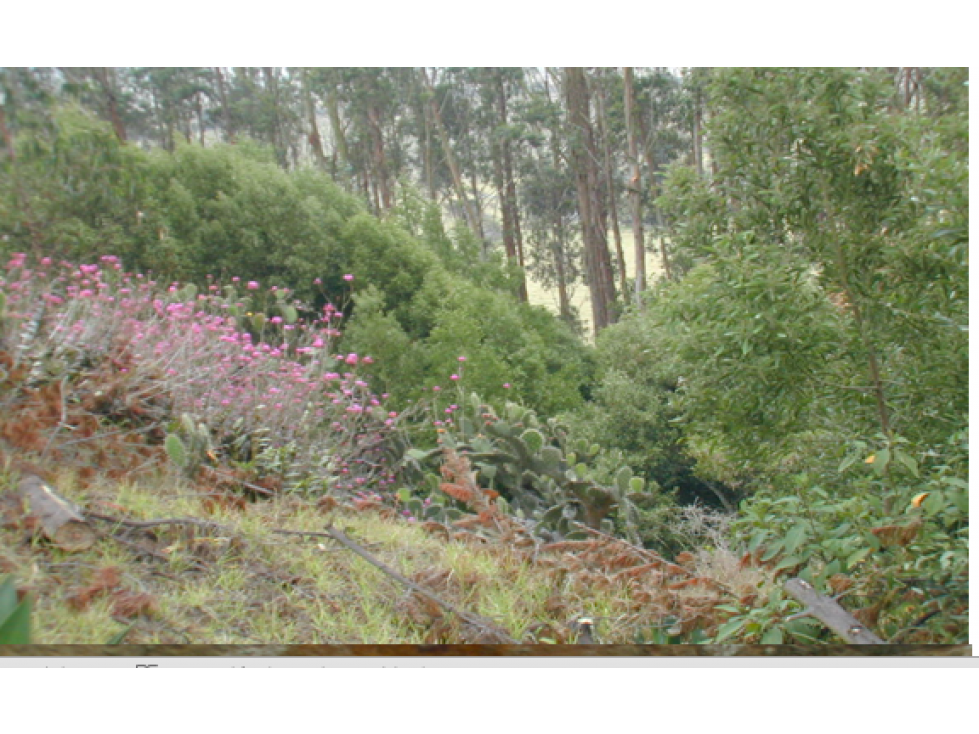 Vendo linda finca con potencial 6 fanegadas en Bojacá, C/marca. - 2