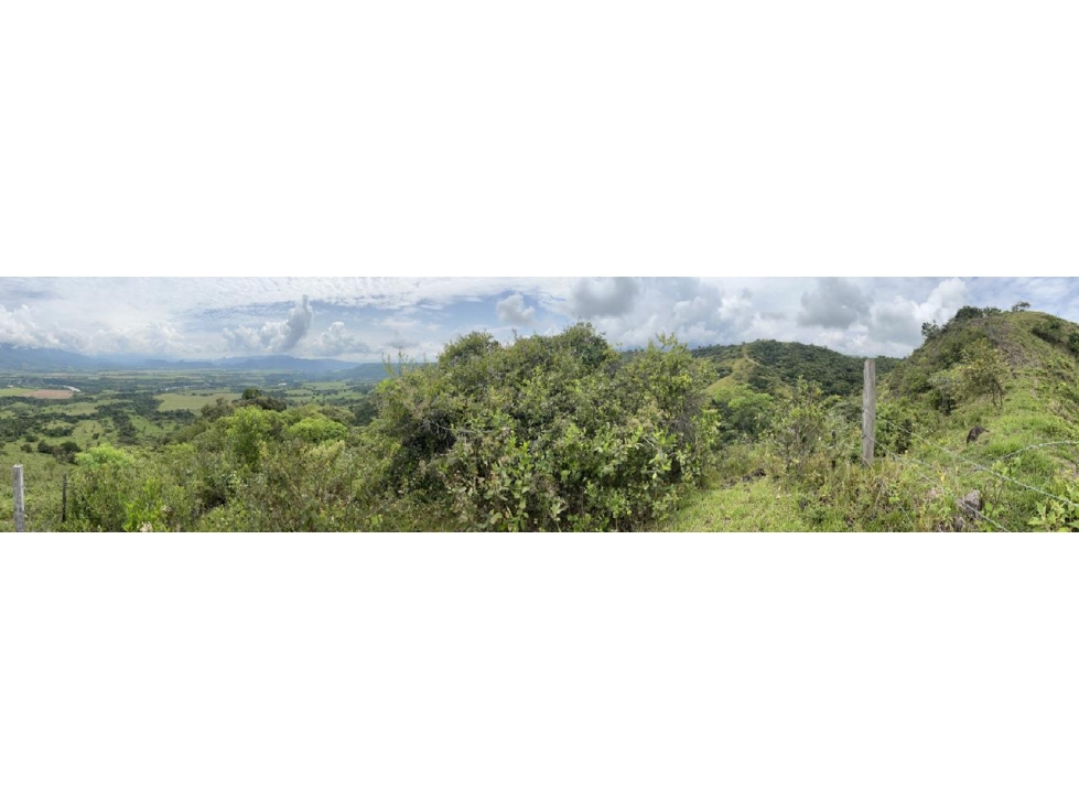 SE VENDE FINCA EN PAICOL - 2