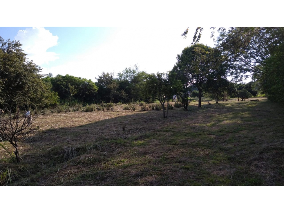 SE VENDE LOTE CAMPESTRE COLINA YAKUMAN - ULLOA - 5