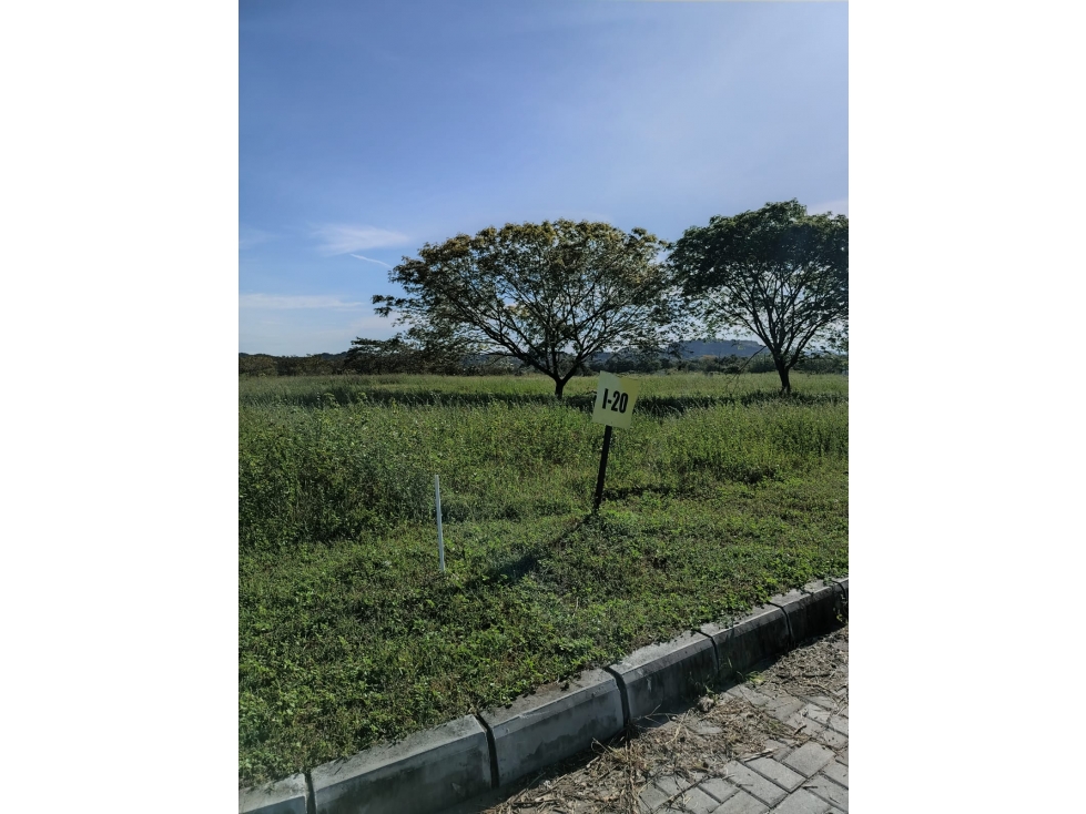 SE VENDE LOTE CAMPESTRE-NEIVA — foto 5
