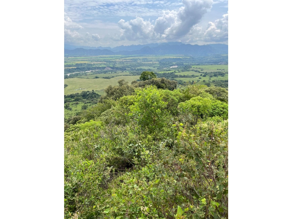 SE VENDE FINCA EN PAICOL - 3