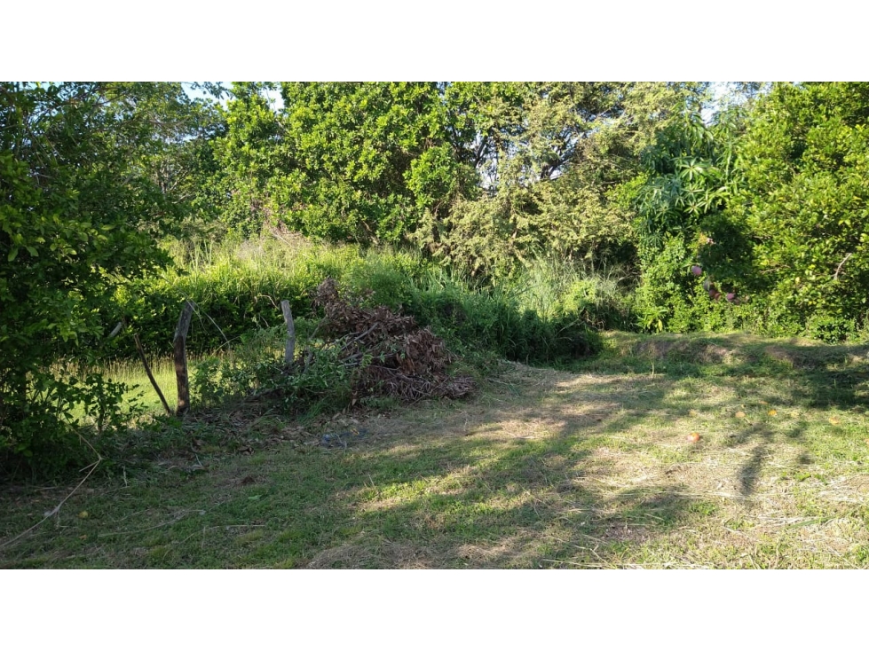 SE VENDE LOTE CAMPESTRE COLINA YAKUMAN - ULLOA - 1