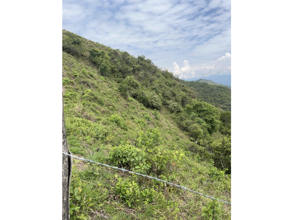 SE VENDE FINCA EN PAICOL - 1