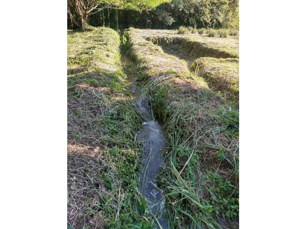 SE VENDE LOTE CAMPESTRE COLINA YAKUMAN - ULLOA - 2