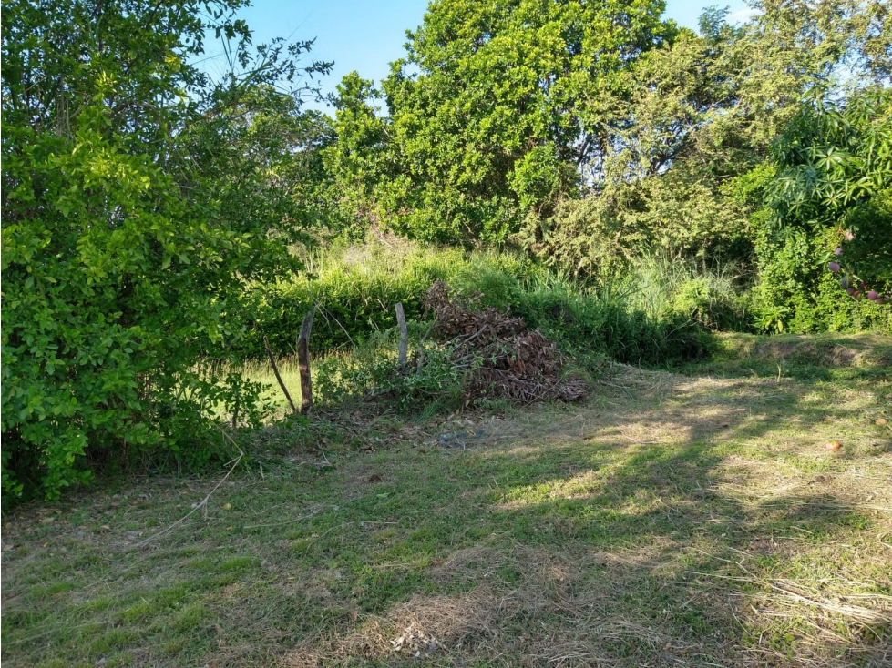 SE VENDE LOTE CAMPESTRE COLINA YAKUMAN - ULLOA - 3