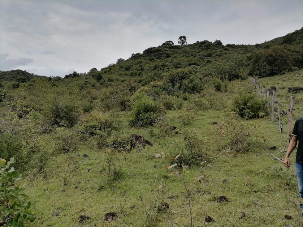 SE VENDE FINCA EN PAICOL - 5