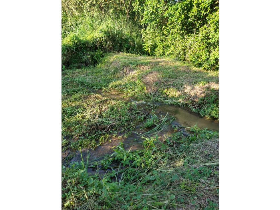 SE VENDE LOTE CAMPESTRE COLINA YAKUMAN - ULLOA - 4