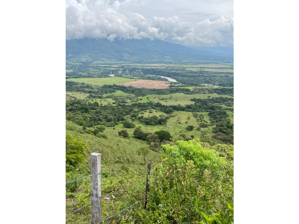 SE VENDE FINCA EN PAICOL - 6