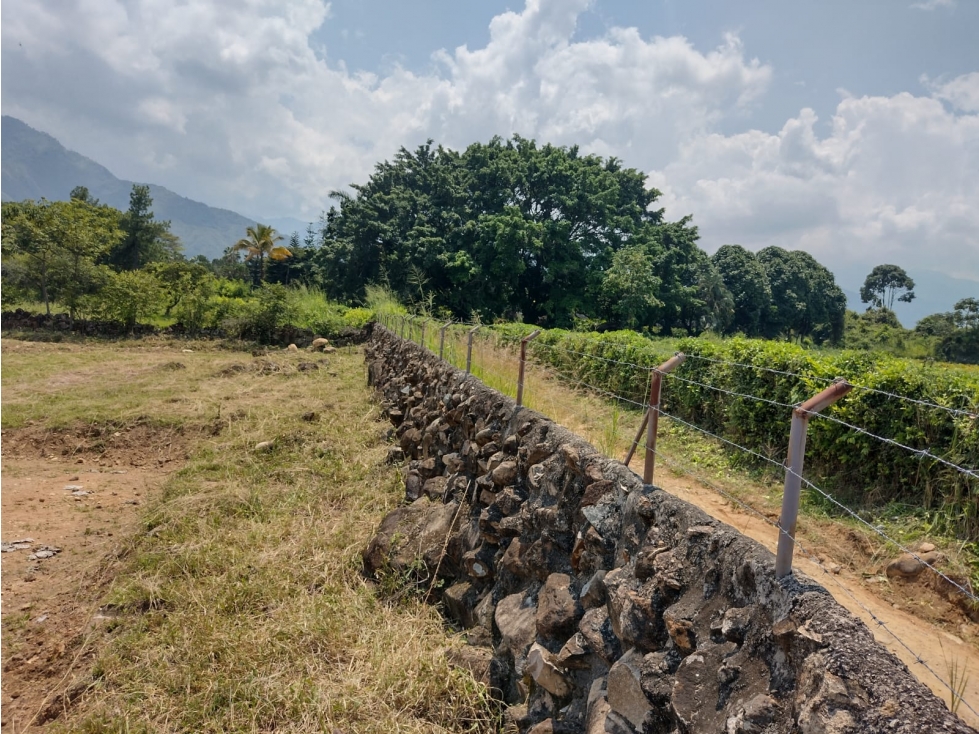 SE VENDE LOTES URBANIZACION VILLAS DE LOS TAMA - 5
