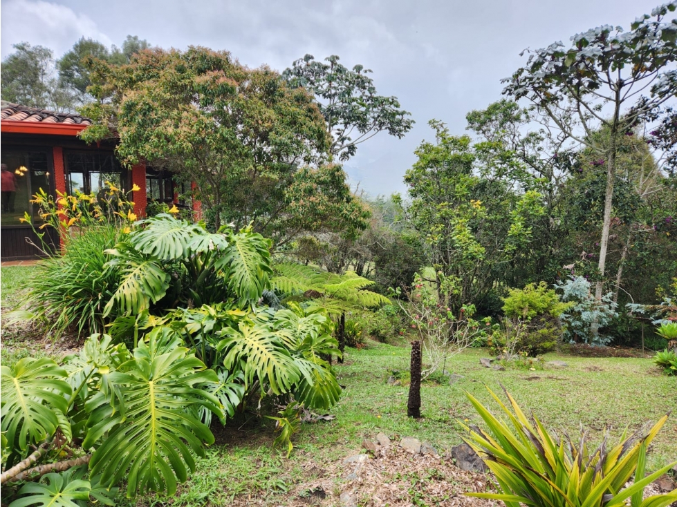 Venta de casa lote independiente en Santa Elena - 5