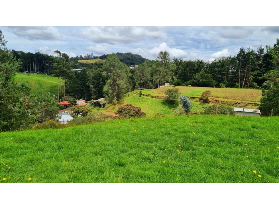 Venta de lote en Envigado- Alto de las Palmas- Vereda La Esperanza — foto 5