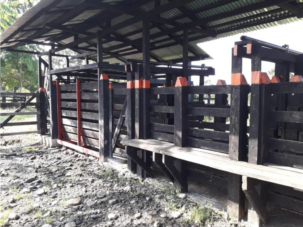 Finca Ganadera en Venta Cimitarra, Santander - 6