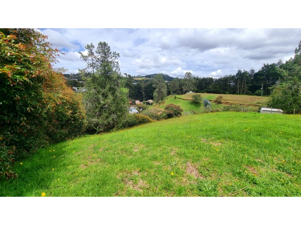Venta de lote en Envigado- Alto de las Palmas- Vereda La Esperanza — foto 4