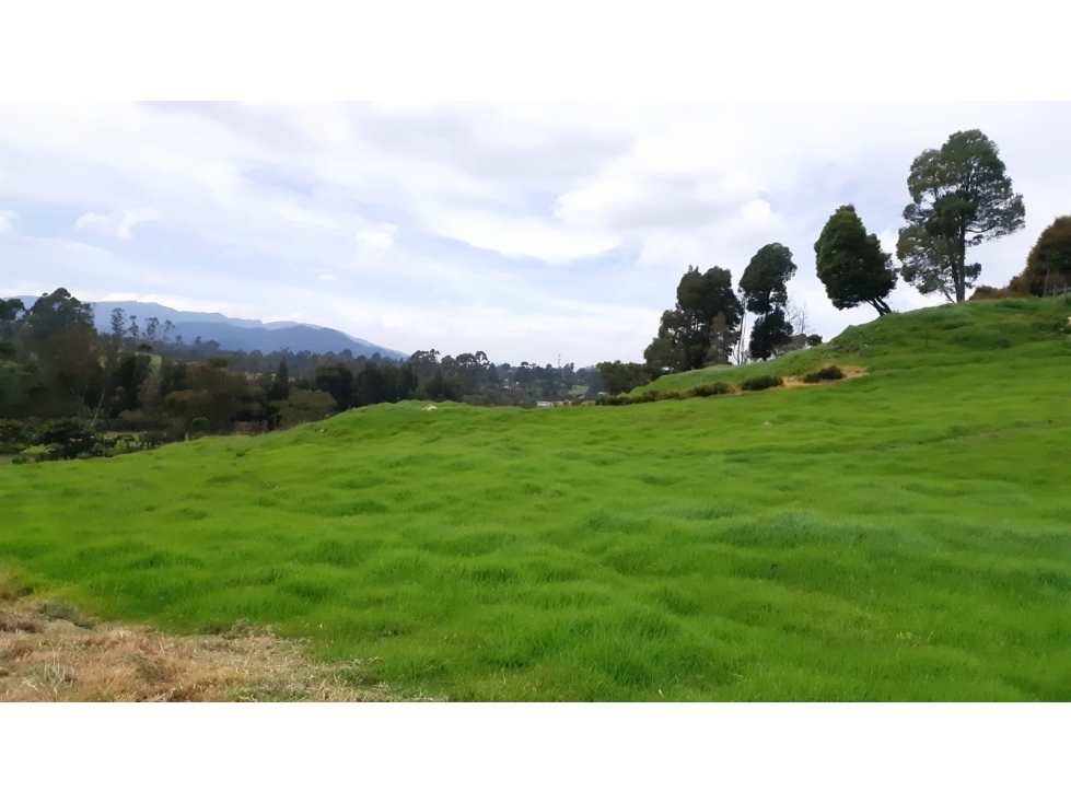 Lote en Venta Alto de Palmas, Envigado