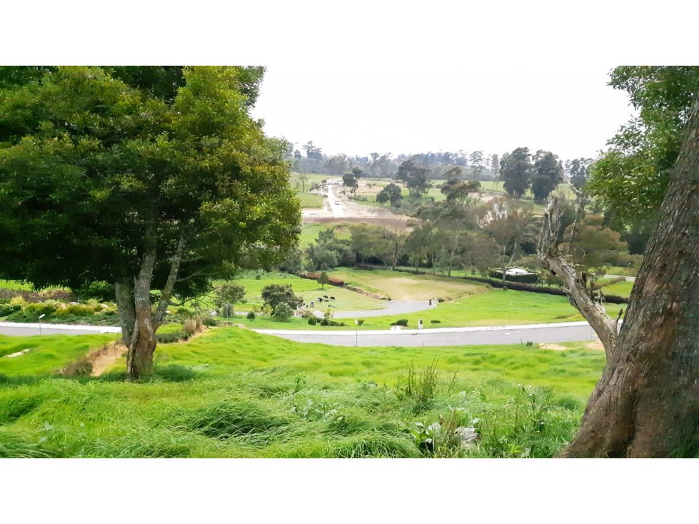 Lote en Venta Alto de Palmas, Envigado — foto 4