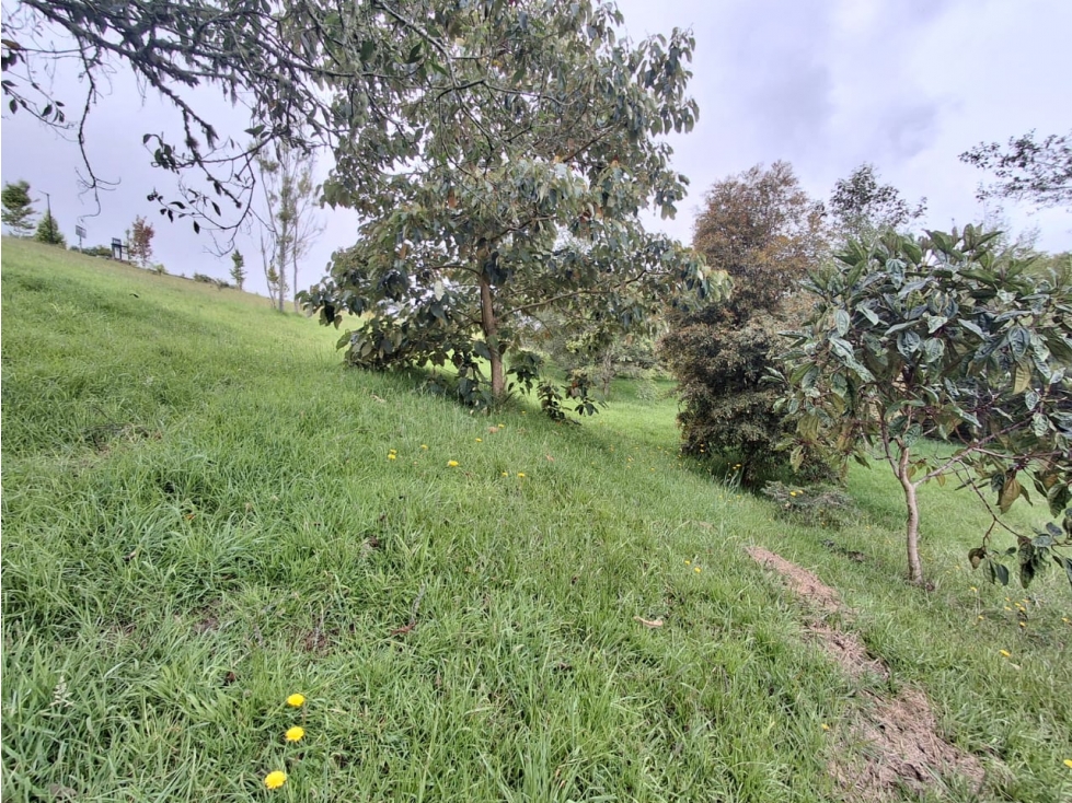 Venta de lote en el Alto de las Palmas- Sector la Acuarela — foto 4