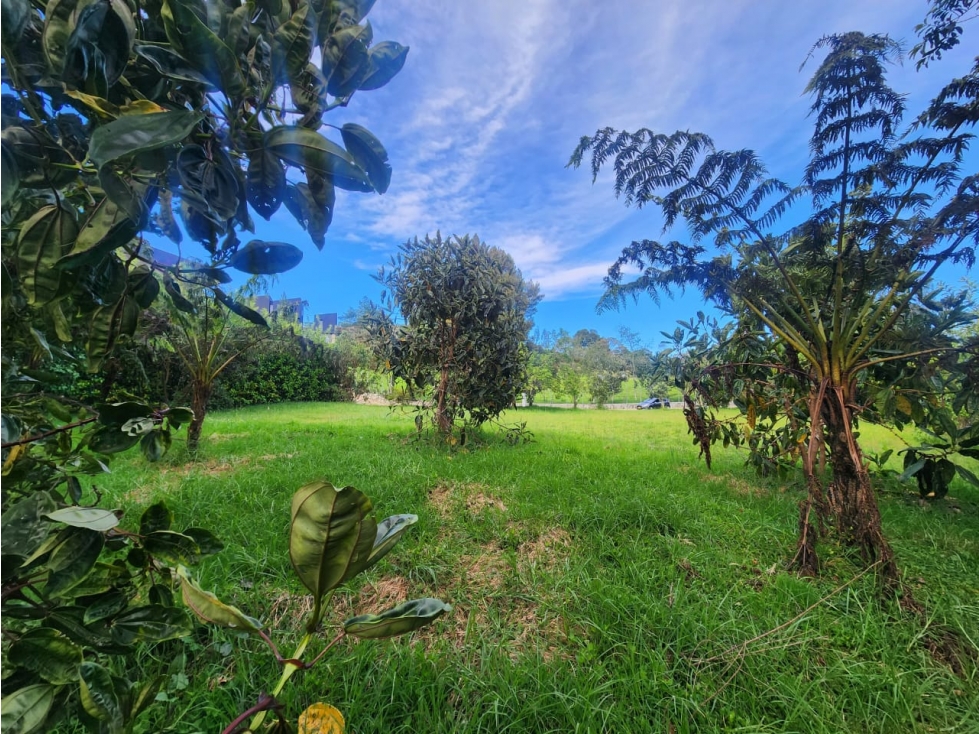 LOTE EN VENTA ALTO DE LAS PALMAS- SECTOR LA ACUARELA