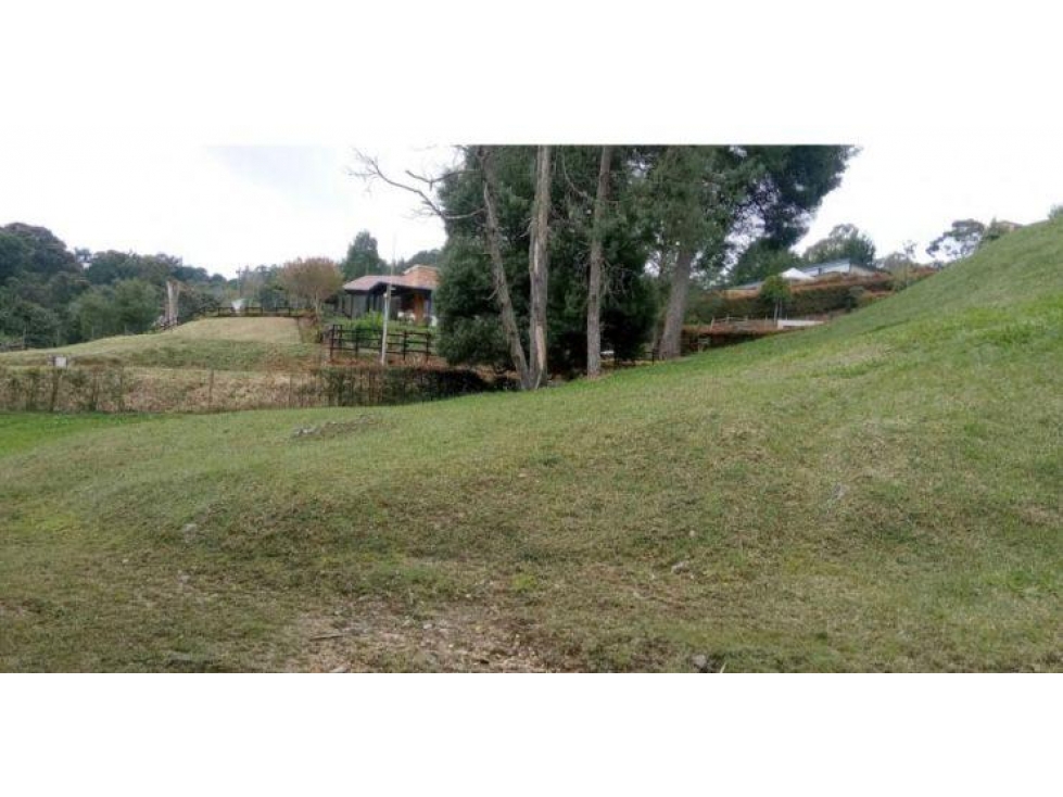 LOTE EN VENTA PALMA ALTA, ALTO DE PALMAS — foto 5