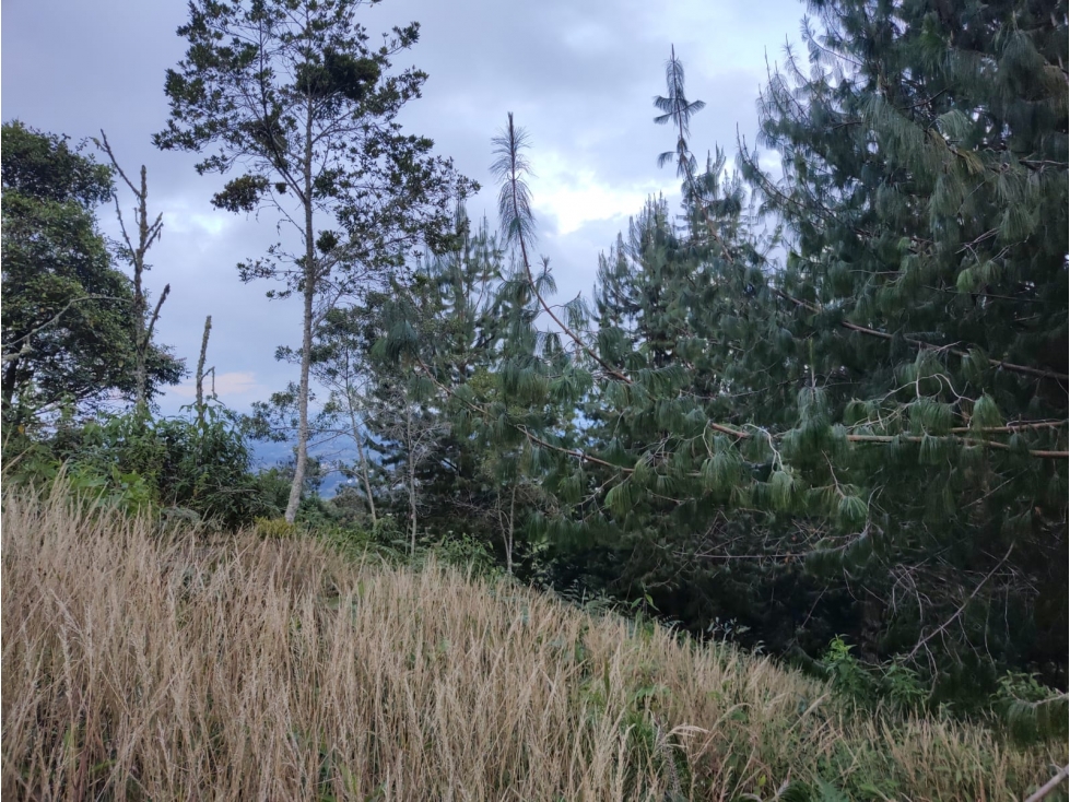 Venta de lote independiente en Rionegro