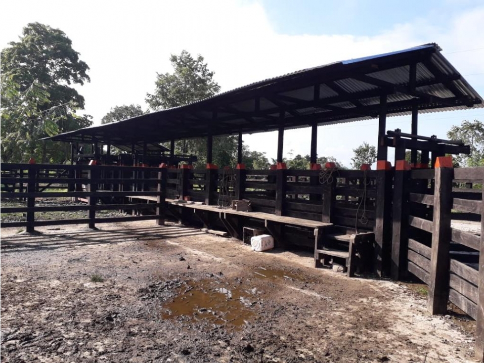 Finca Ganadera en Venta Cimitarra, Santander - 4