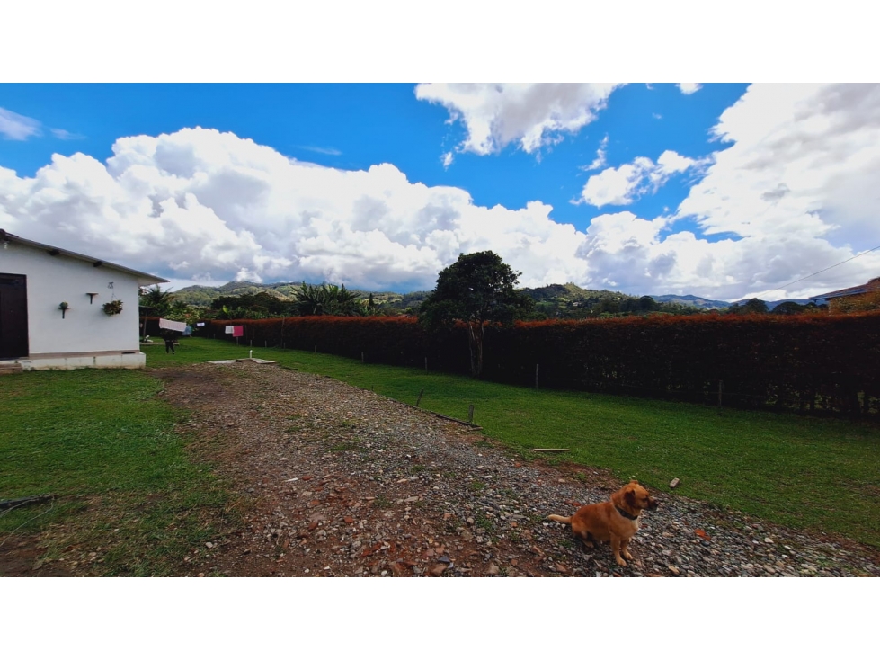 Venta de lote con 2 casa y 1 apartaestudio en Llano Grande — foto 5