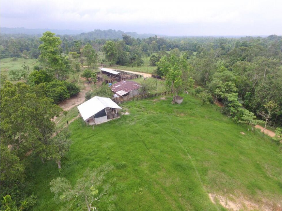 Finca Ganadera en Venta Cimitarra, Santander - 2