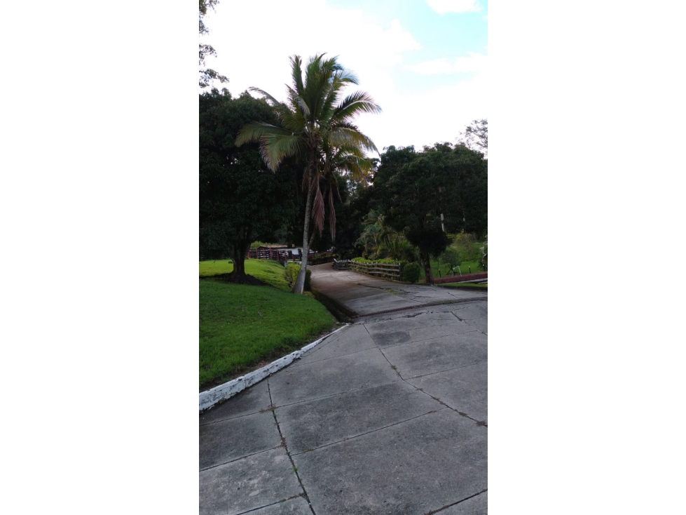 Venta de Finca en La Pintada - 4