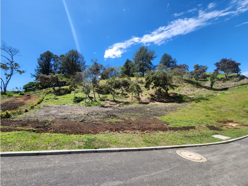 Venta de Lote en San Antonio La Ceja - Sector La Cucharita — foto 5