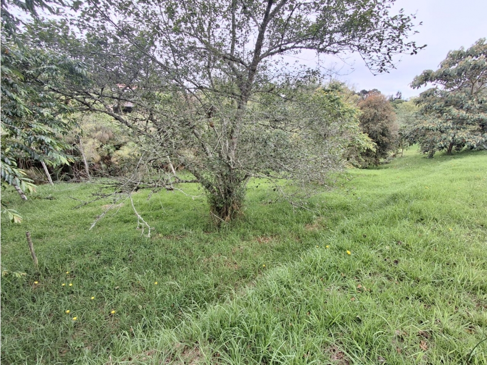 Venta de lote en el Alto de las Palmas- Sector la Acuarela — foto 5