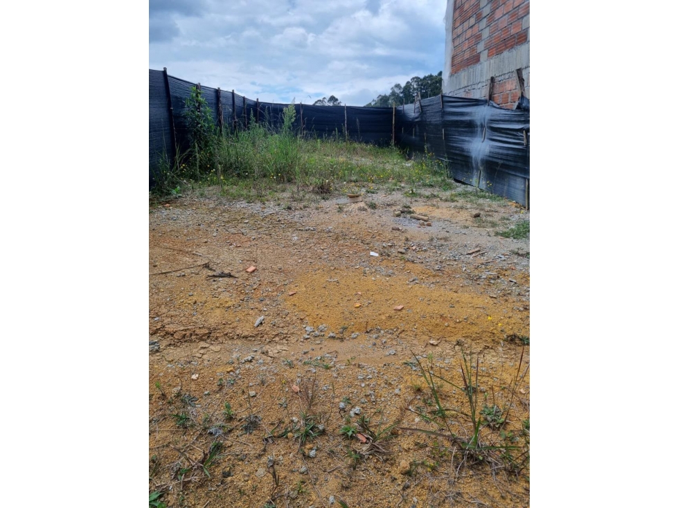 VENTA DE LOTE EN SECTOR QUIRAMA- VIA LA CEJA- SAN ANTONIO DE PEREIRA — foto 2