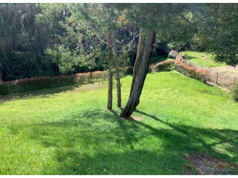 LOTE EN VENTA PALMA ALTA, ALTO DE PALMAS — foto 6